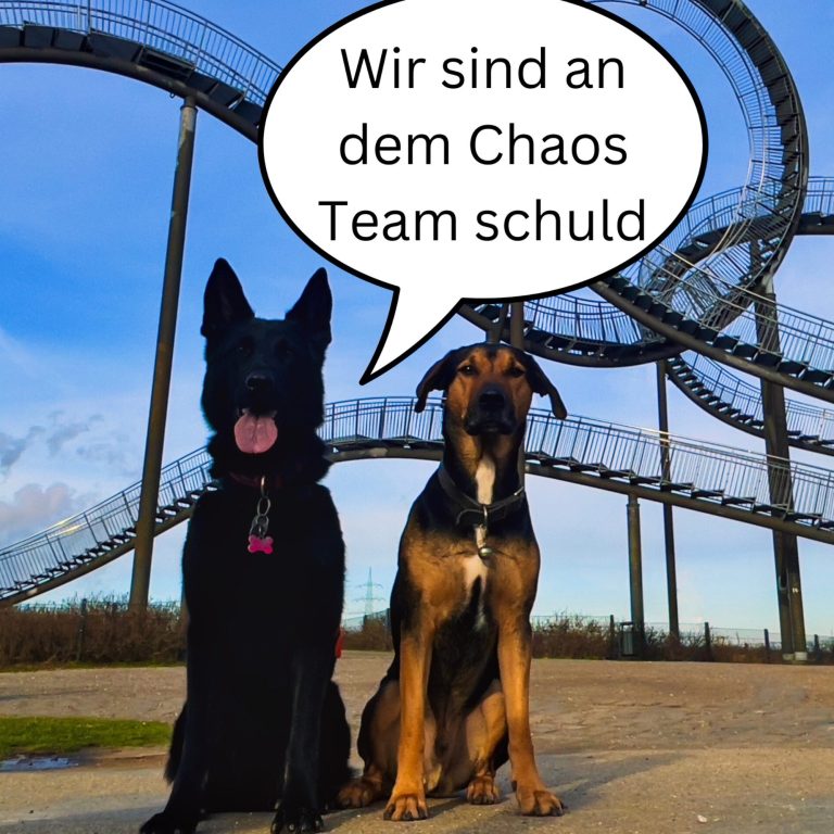 Zwei Hunde sitzen vor  " Tiger and Turtle- Duisburg" und haben Sprechblasen mit Text" Wir sind an dem Chaos Schuld".