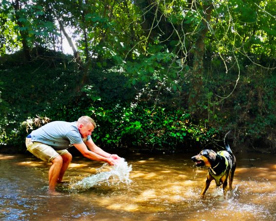 Mann spielt im Wasser mit einem Hund, der fröhlich läuft.